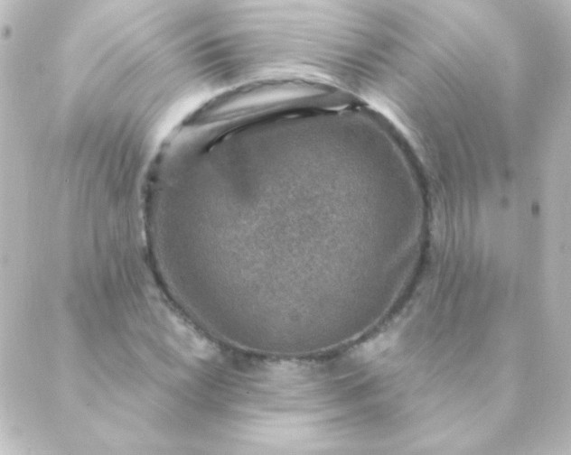 X0000088851022200706221655