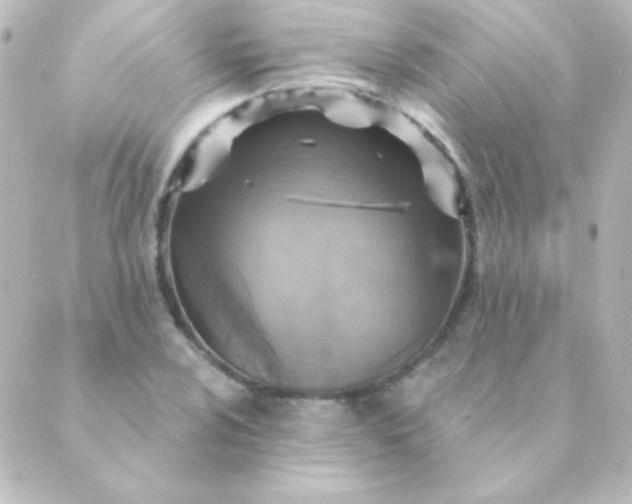 X0000088851024200706221655