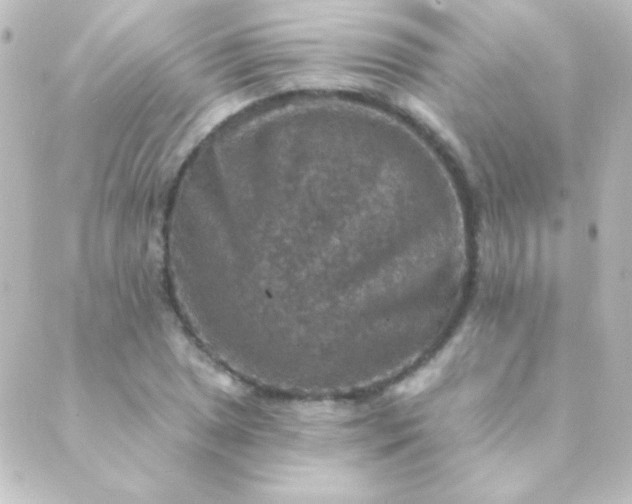 X0000088851025200706221655