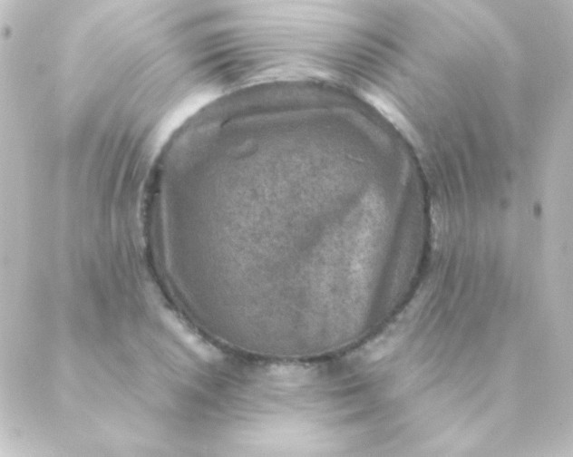 X0000088851026200706221655