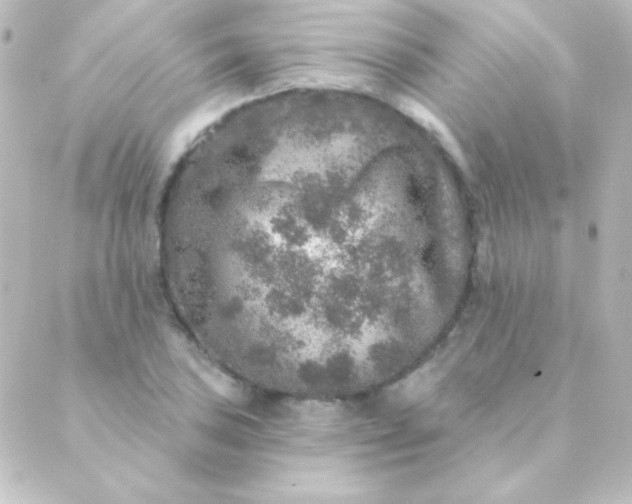 X0000088851027200706221655