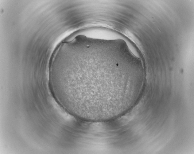 X0000088851028200706221655