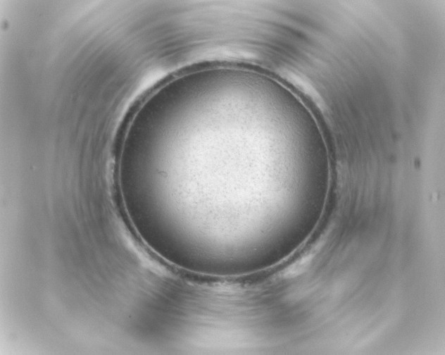 X0000088851029200706221655