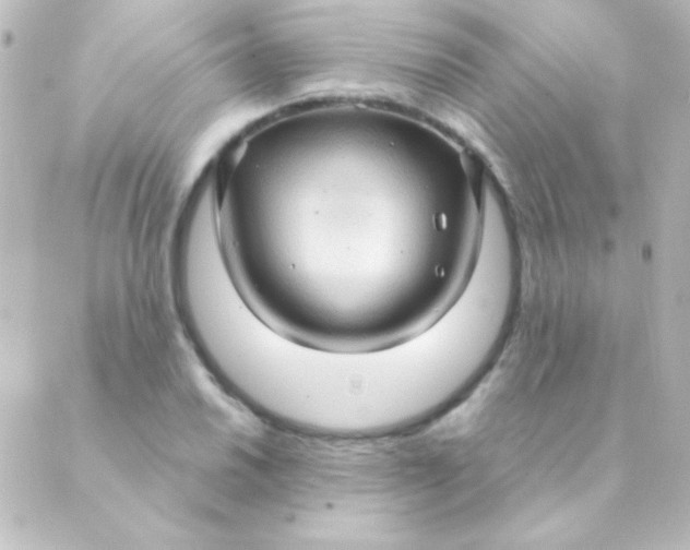 X0000088851030200706221655