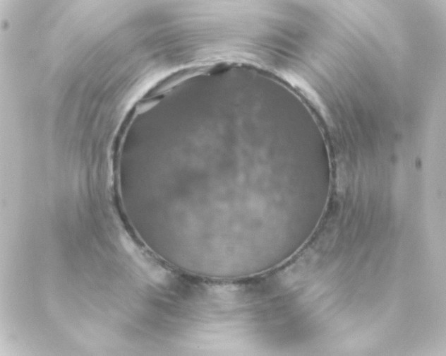 X0000088851031200706221655