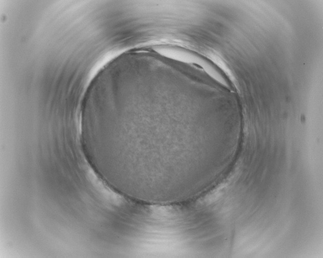 X0000088851032200706221655