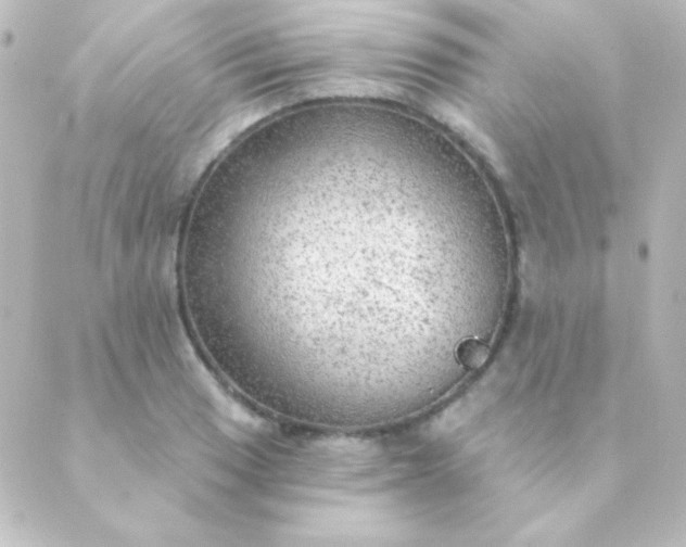 X0000088851033200706221655