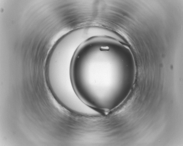 X0000088851034200706221655