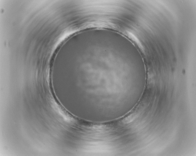 X0000088851035200706221655