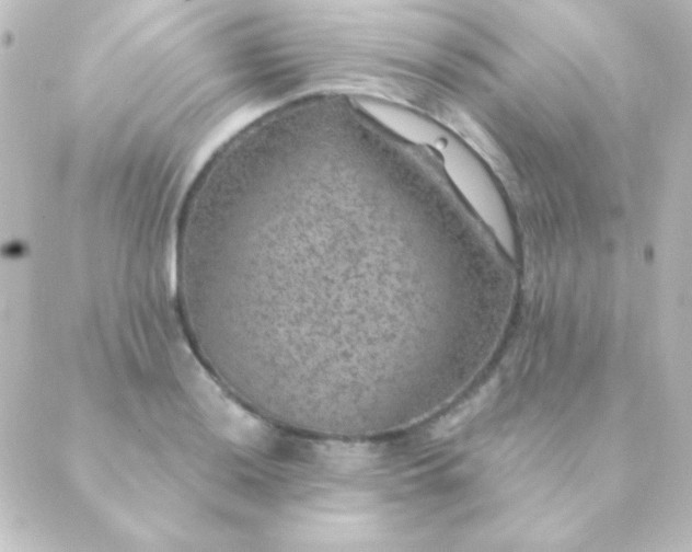 X0000088851036200706221655