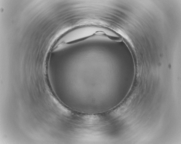 X0000088851037200706221655