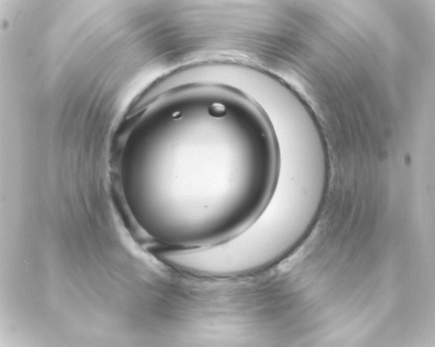 X0000088851038200706221655