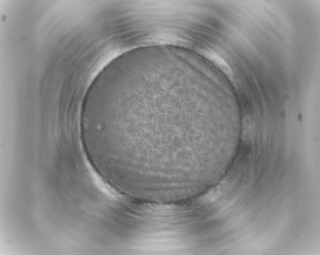 X0000088851039200706221655