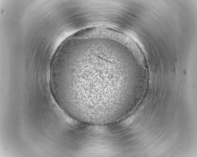 X0000088851040200706221655