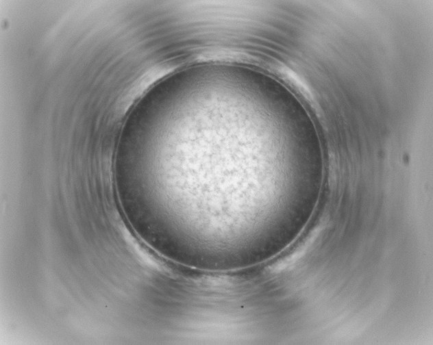 X0000088851041200706221655