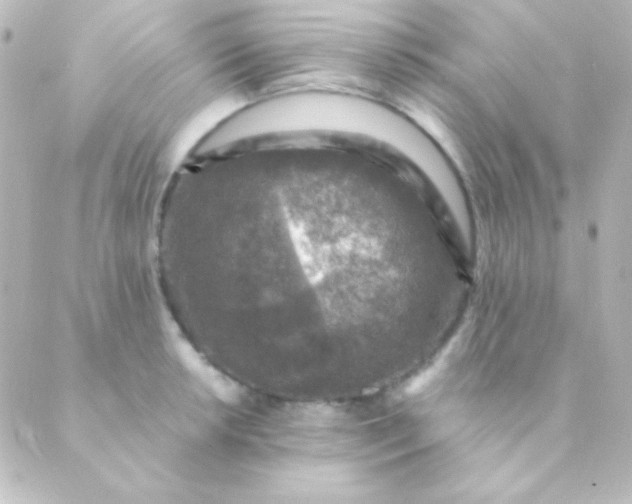 X0000088851042200706221655