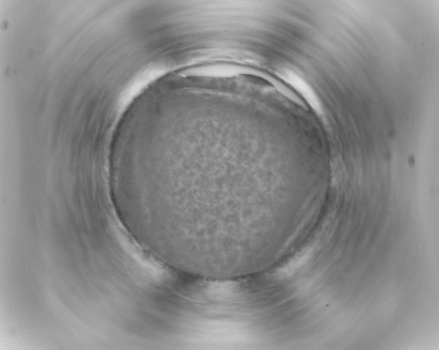 X0000088851043200706221655