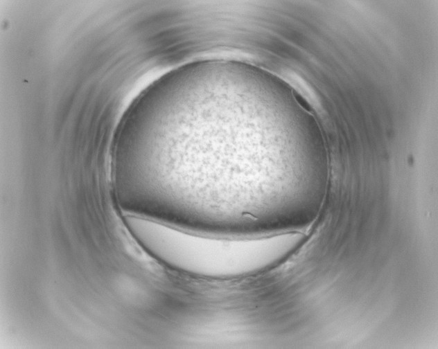 X0000088851044200706221655