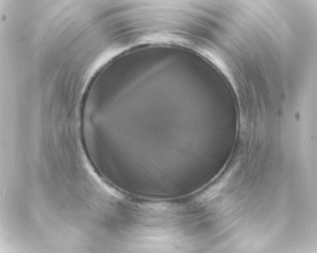 X0000088851045200706221655