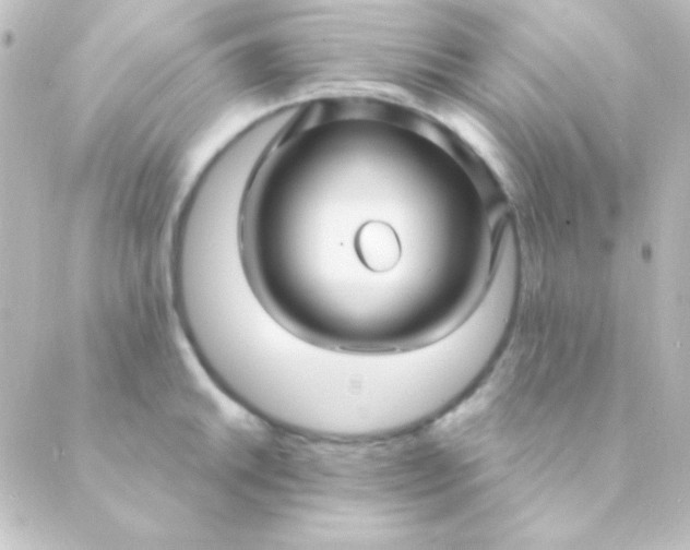 X0000088851046200706221655