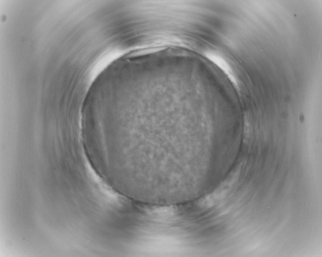 X0000088851047200706221655