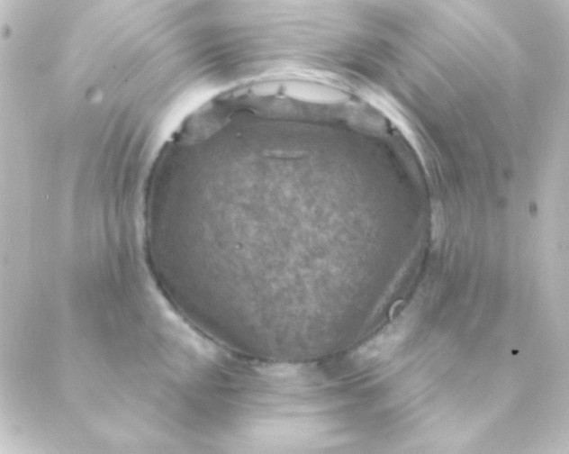 X0000088851048200706221655