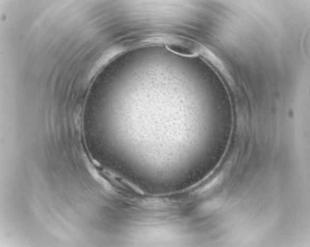 X0000088851049200706221655