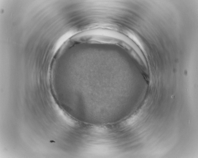 X0000088851050200706221655