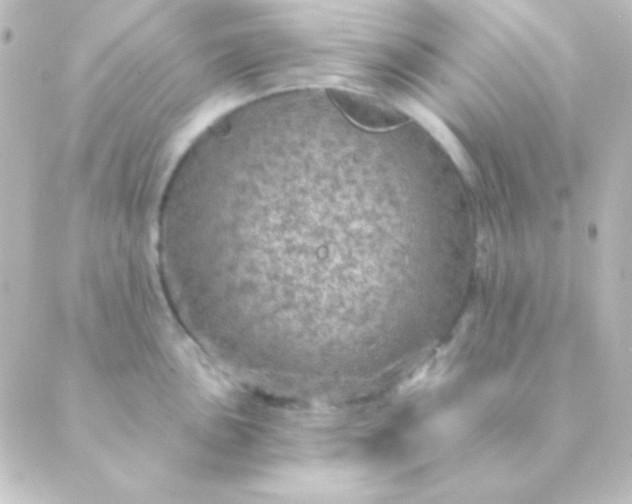 X0000088851051200706221655