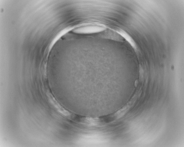 X0000088851052200706221655