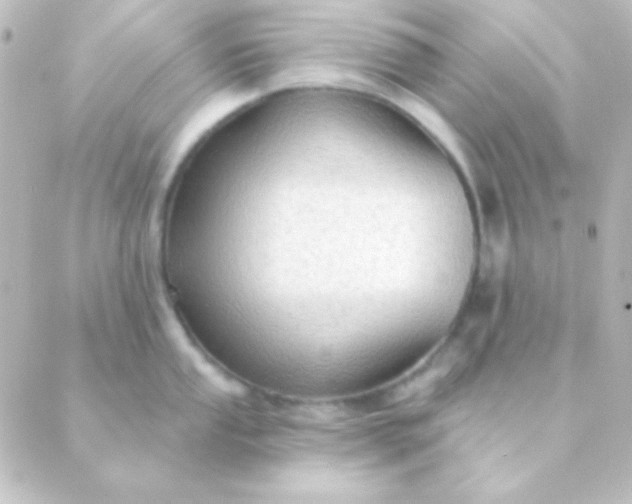 X0000088851053200706221655