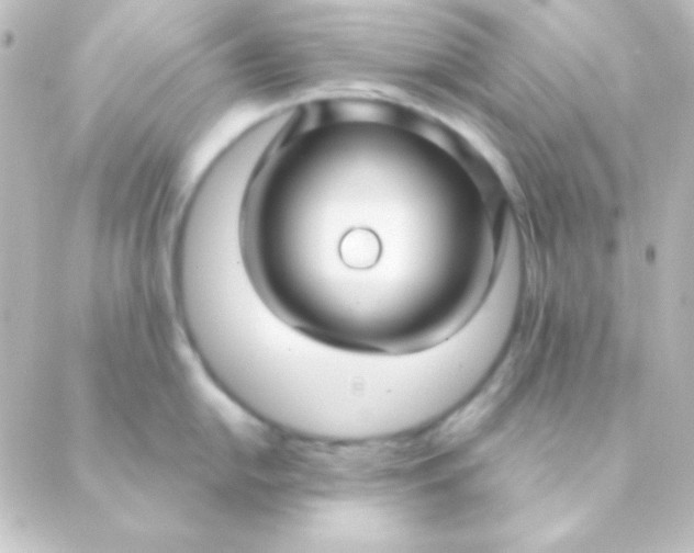 X0000088851054200706221655