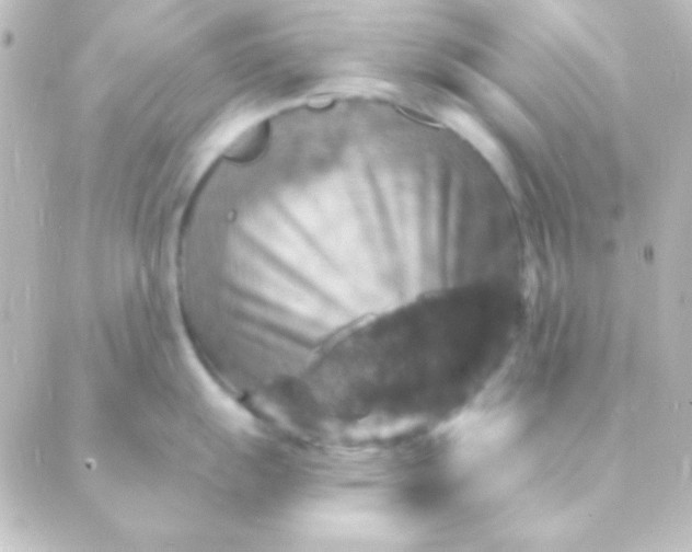 X0000088851055200706221655