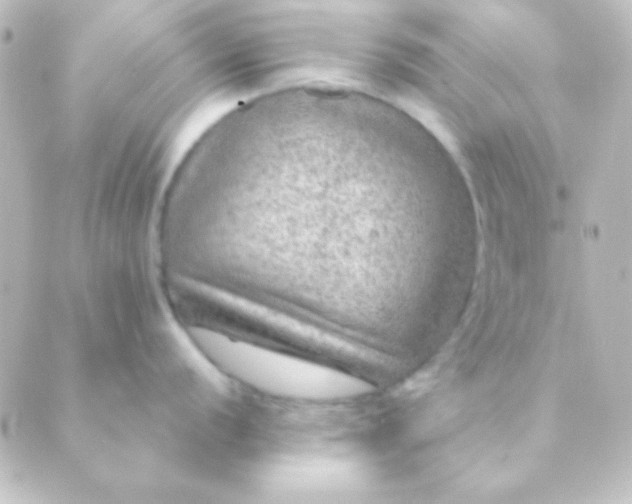 X0000088851056200706221655