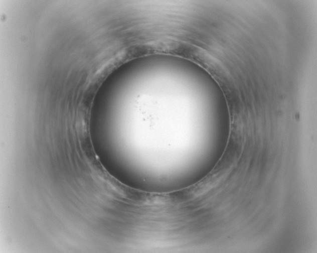 X0000088851058200706221655