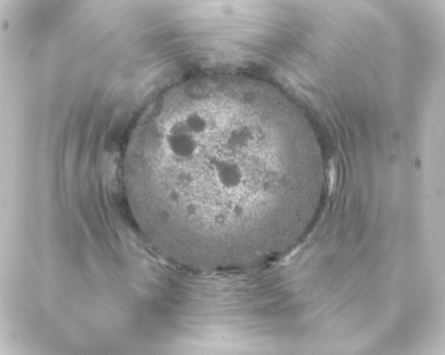 X0000088851059200706221655