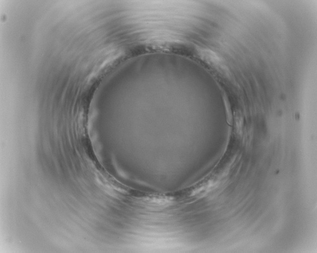 X0000088851060200706221655