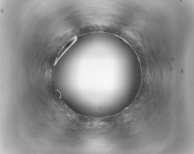 X0000088851061200706221654