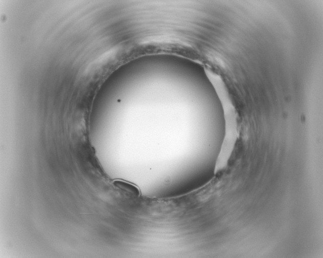 X0000088851062200706221654