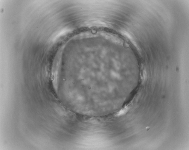 X0000088851063200706221654