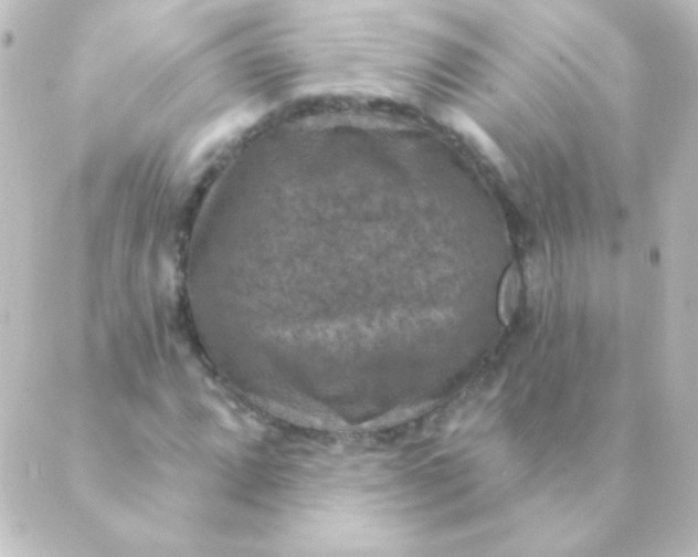 X0000088851064200706221654