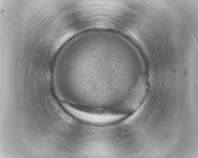 X0000088851065200706221654