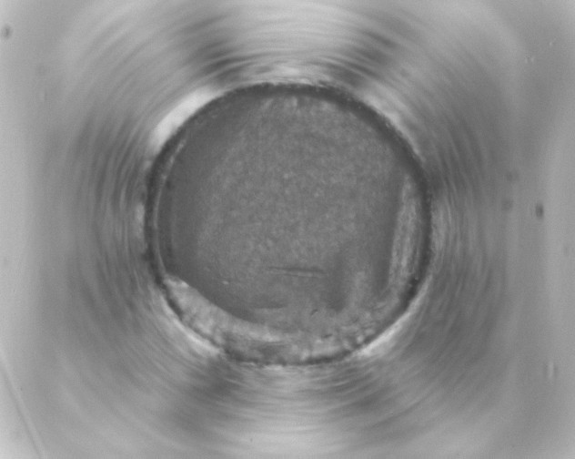 X0000088851066200706221654