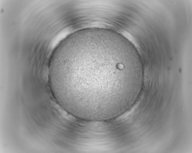 X0000088851067200706221654