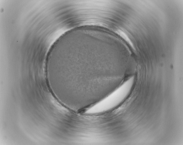 X0000088851068200706221654