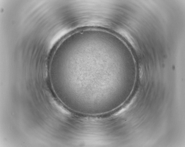 X0000088851069200706221654