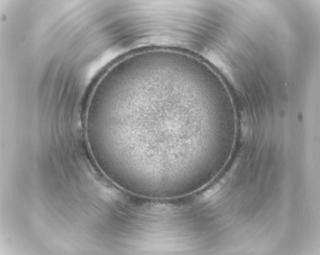 X0000088851070200706221654