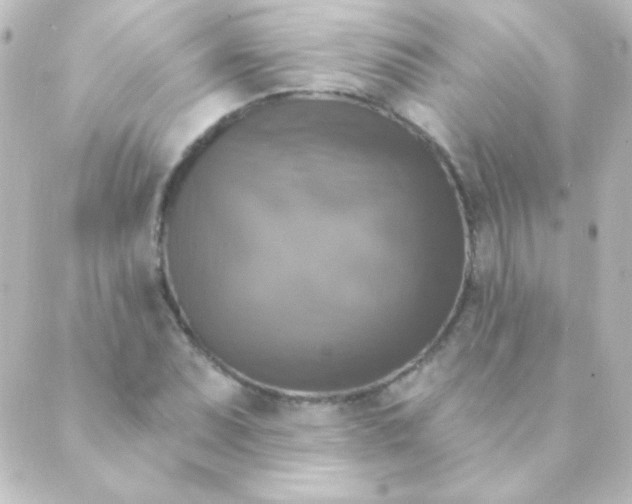 X0000088851071200706221654