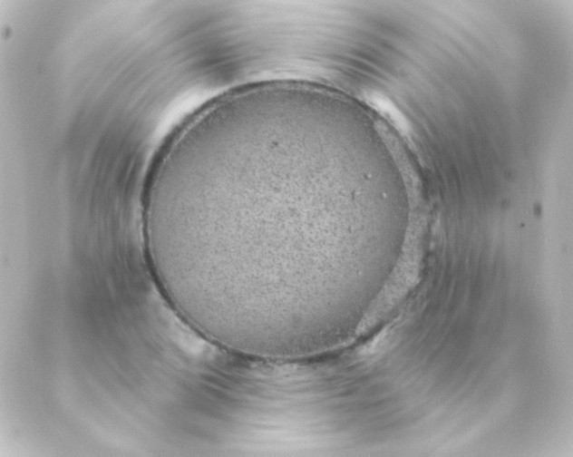 X0000088851072200706221654