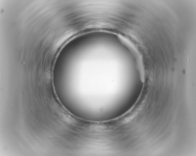 X0000088851073200706221654